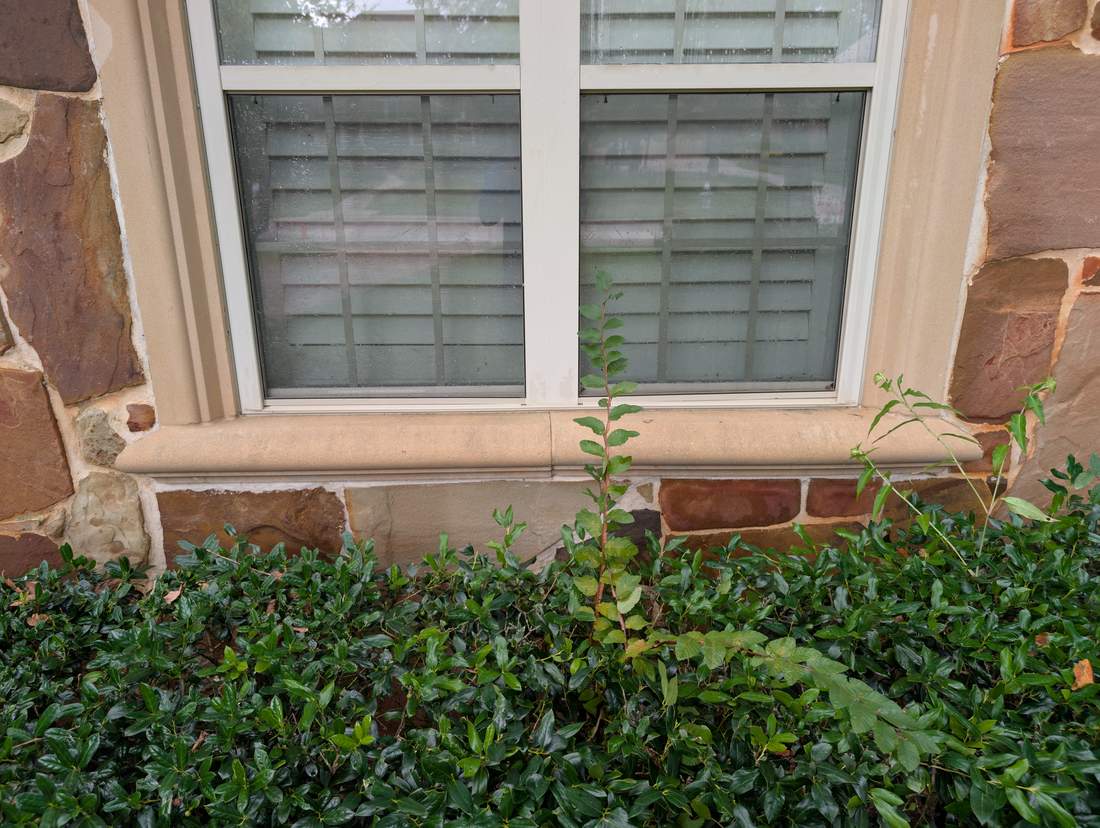 Stone window sill after softwashing