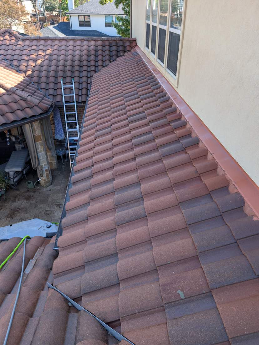 Tile roof after softwashing