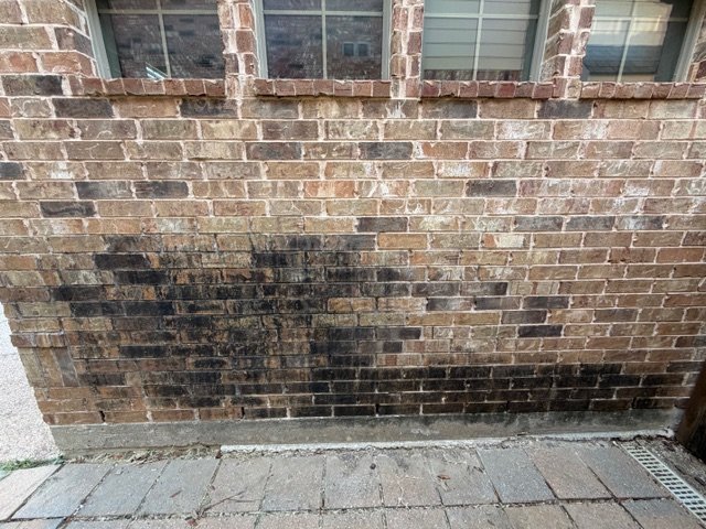 Brick wall with heavy black staining before softwashing